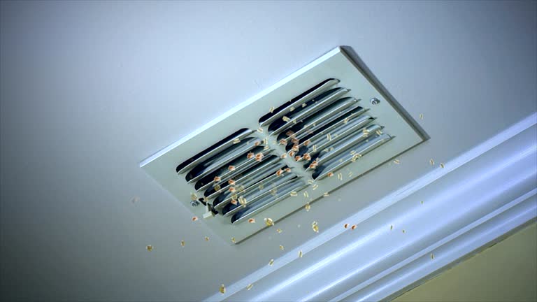 Best Professional Duct Cleaning Services  in Medford, MN