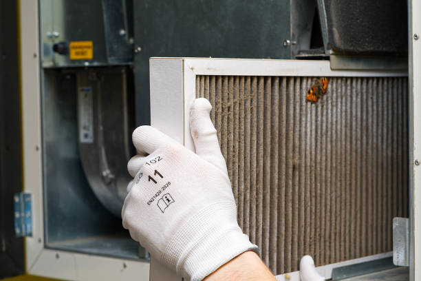 Best Affordable HVAC Duct Cleaning  in Medford, MN