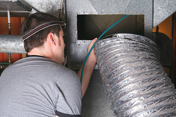 Best Air Duct Mold Removal  in Medford, MN