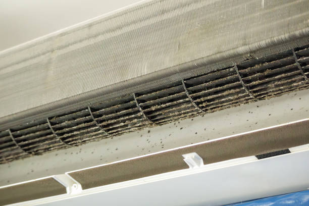 Best Home Air Vent Cleaning  in Medford, MN